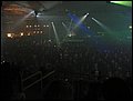 IMG_4376.jpg